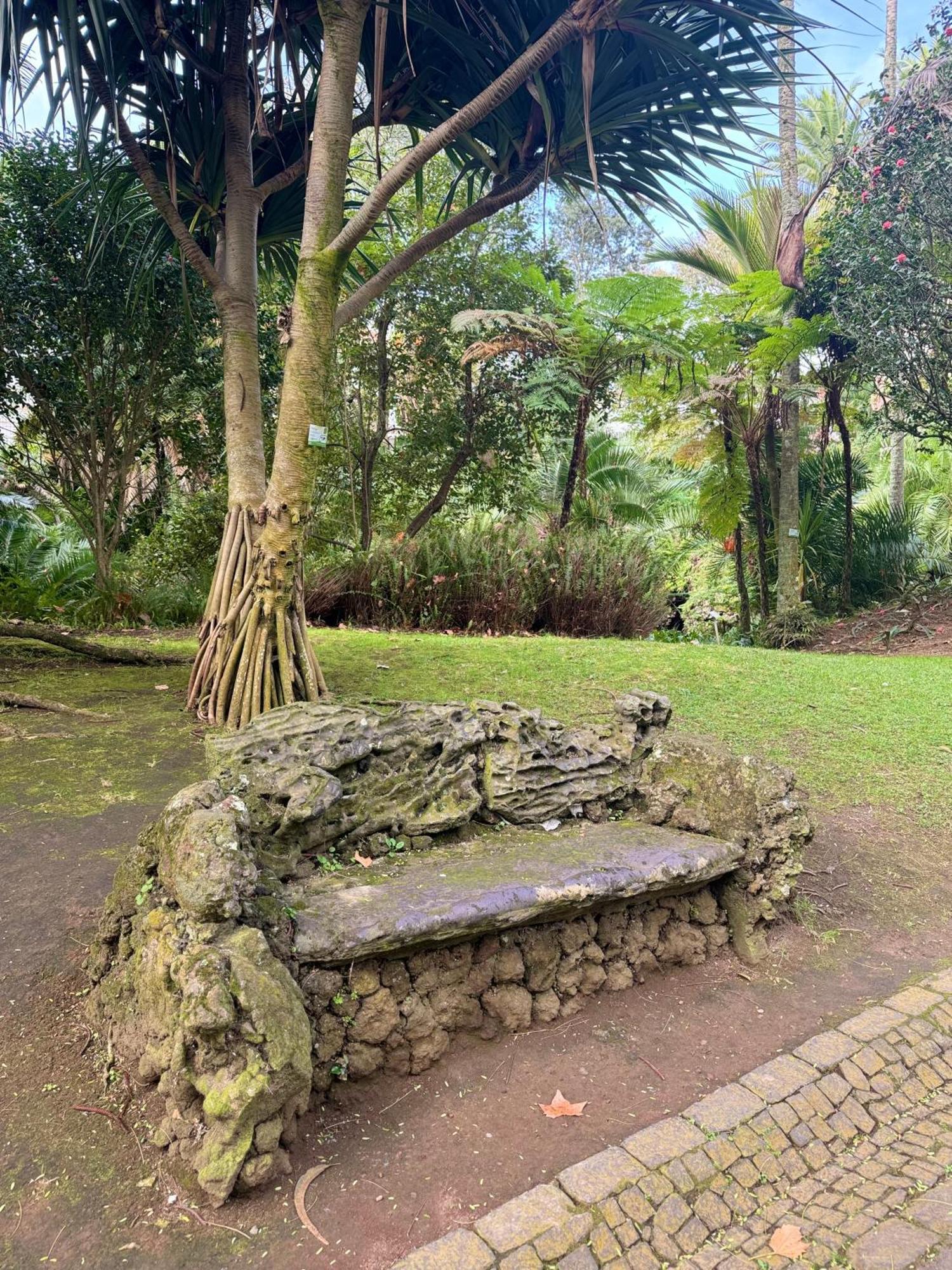 Garden Apartment Ponta Delgada Exterior foto